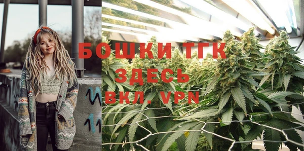 эйфоретик Верхний Тагил