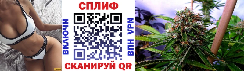 купить наркотики сайты  блэк спрут зеркало  Бошки марихуана White Widow  Перевоз 